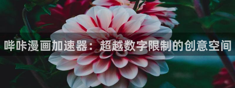 歪歪漫画免费阅读小说秋蝉：哔咔漫画加速器：超越数字限制的创意空间