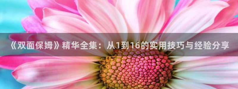 歪歪漫画在线免费阅读：《双面保姆》精华全集：从1到16的实用技巧与经验分享