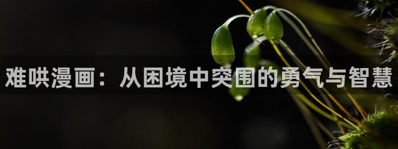 歪歪漫画未删减