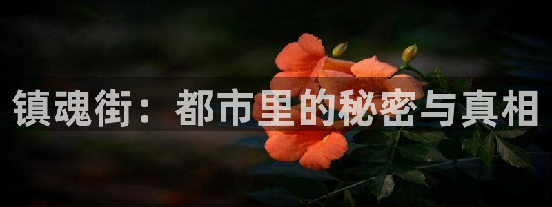 歪歪漫画韩国免费