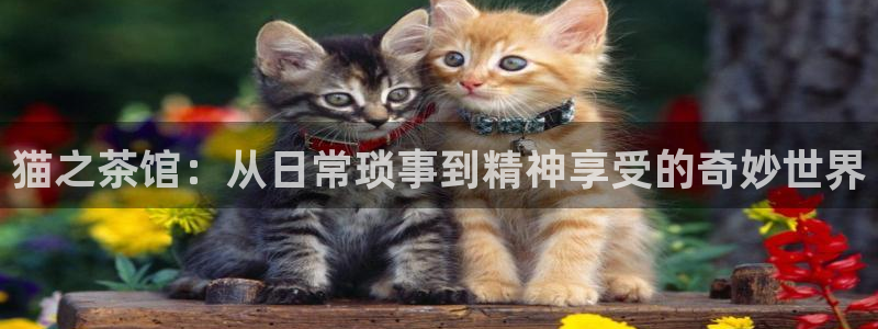 歪歪漫画视频