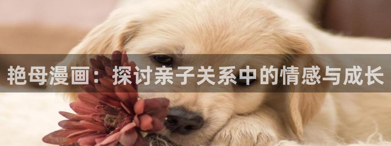 歪歪漫画网络