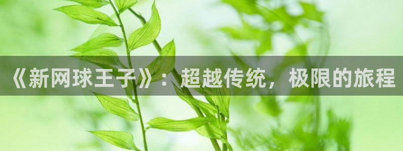 歪歪漫画无删减在线免费观看：《新网球王子》：超越传统，极限的旅程