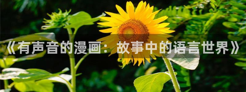 歪歪漫画韩漫免费阅读