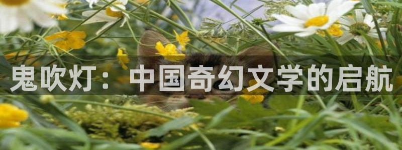 歪歪漫画在线阅读入口