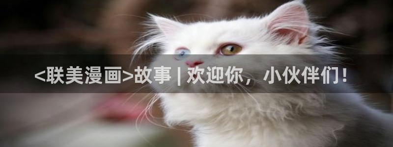 歪歪漫画 每周限免