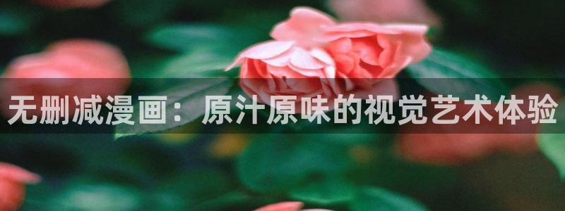 歪歪漫画sss永久网址