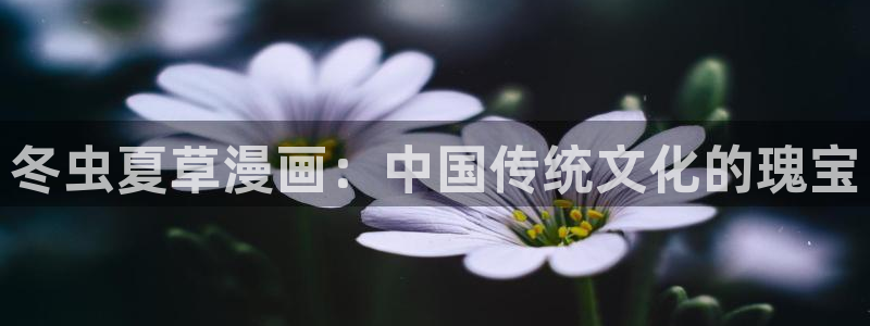 歪歪漫画sss网站入口下拉式阅读