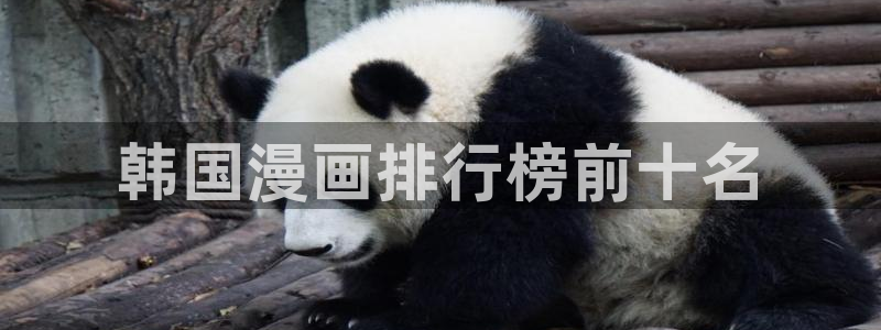 歪歪漫画sss永久入口