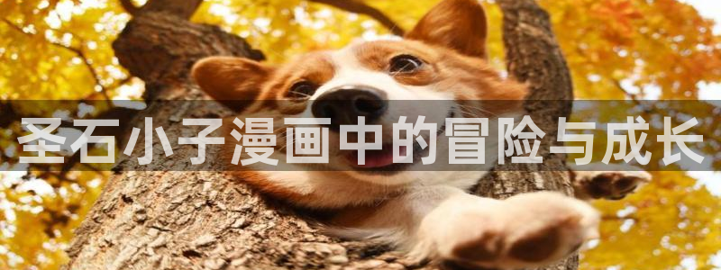 歪歪漫画在线观看免费