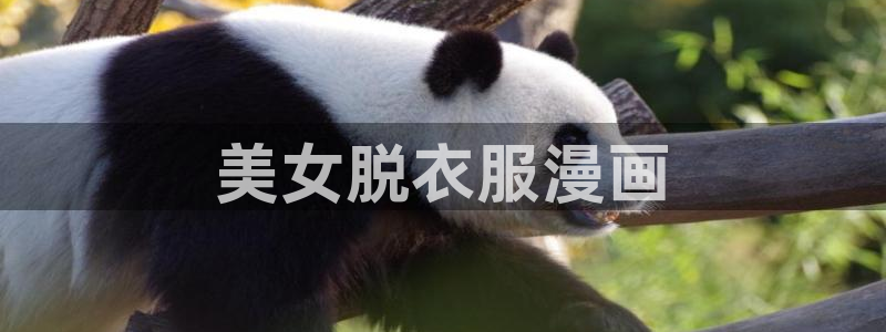 歪歪漫画网免费漫画弹窗入口