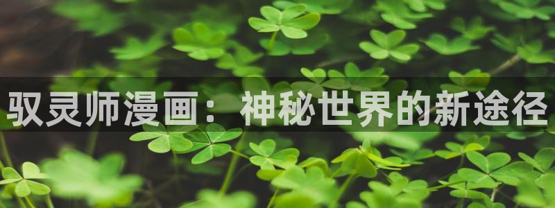歪歪漫画羞羞漫画首页：驭灵师漫画：神秘世界的新途径