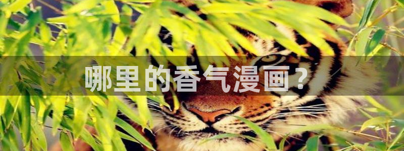 歪歪漫画,网站入口：哪里的香气漫画？
