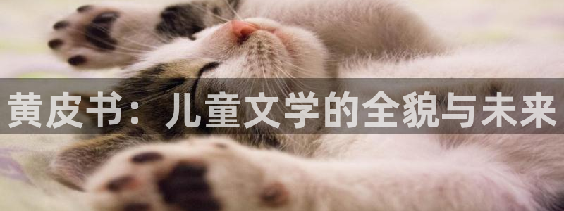 久久韩国无删减漫画歪歪漫画：黄皮书：儿童文学的全貌与未来